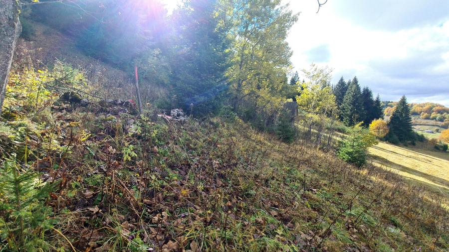 TEREN INTRAVILAN-EXTRAVILAN SPECTACULOS LANGA RESORTUL CHEILE GRADISTEI -FUNDATA - 12