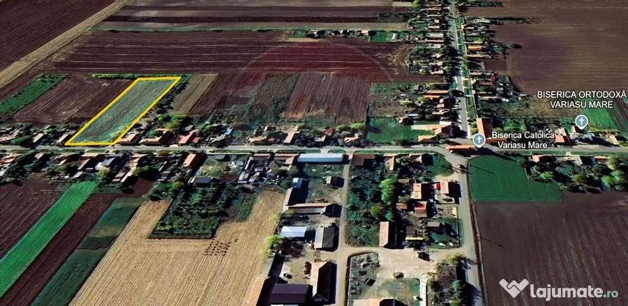 Teren intravilan 5,018mp Variasu Mare - 15 km de Arad/ st... - 5