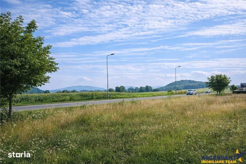 Lot pentru casa, 800 mp intravilan, Bod, 15 min Brasov - 6
