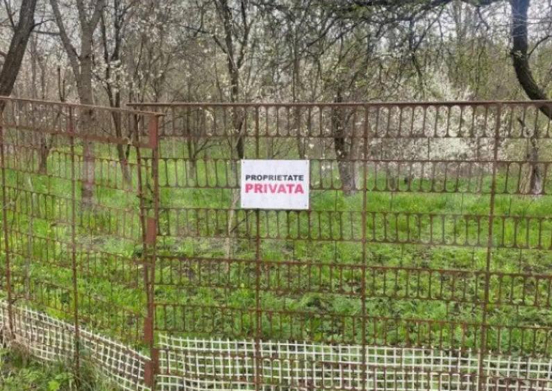 Teren 784 mp, Nistoresti, jud Prahova - 4