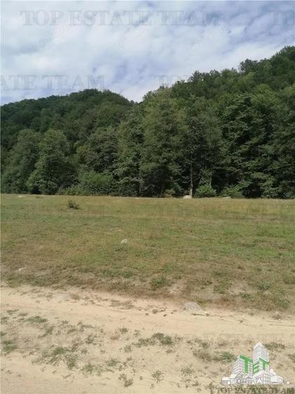 Teren intravilan - Berevoiesti - Arges - 3