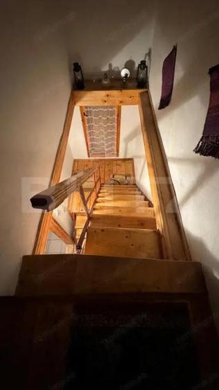 VAND CASA DE VACANTA LA COLIBITA, CU VEDERE SPRE LAC - 19