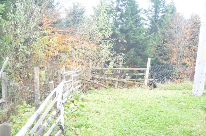 Teren intravilan situat in Busteni-Valea Alba - 2