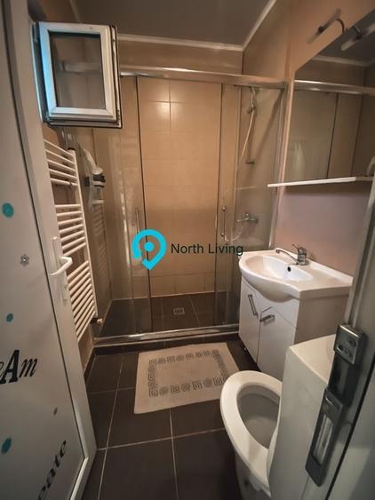 Vila 7 camere -Hala Traian Bucuresti - 11