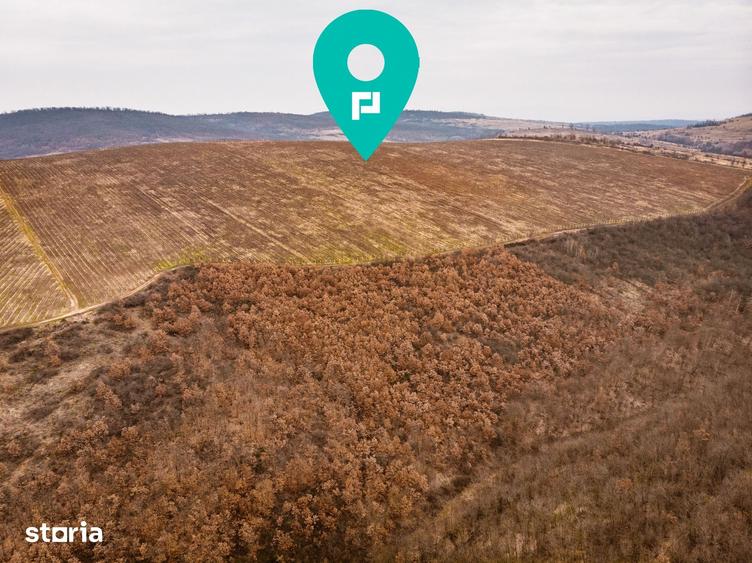 Teren de 115 mp, în Târnova