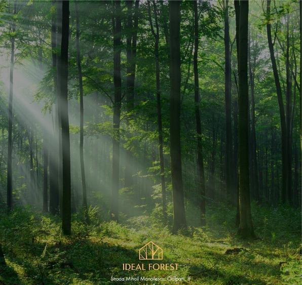 Lot de teren cu autorizatie si proiect casa 558mp! Snagov - 18