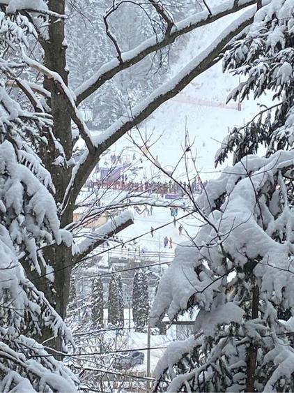 Apartament cu 2 camere Azuga zona partia Sorica cu vedere panoramica - 6