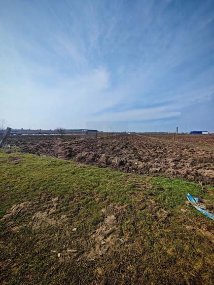 Teren de Vanzare Industrial Caciulati A3 - 5