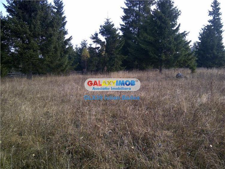 Teren pentru Complex Turistic - 12 730 mp  - Vatra Dornei - 4