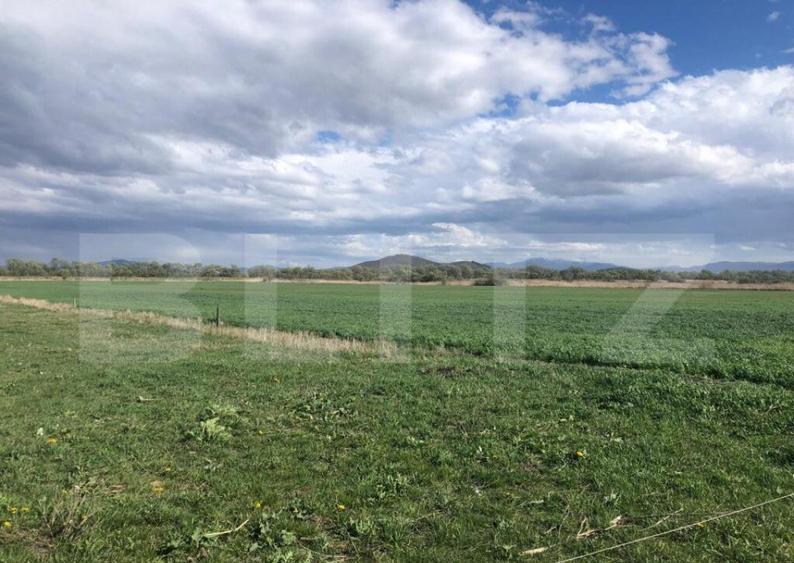 De vanzare teren extravilan 50.000 mp - 1