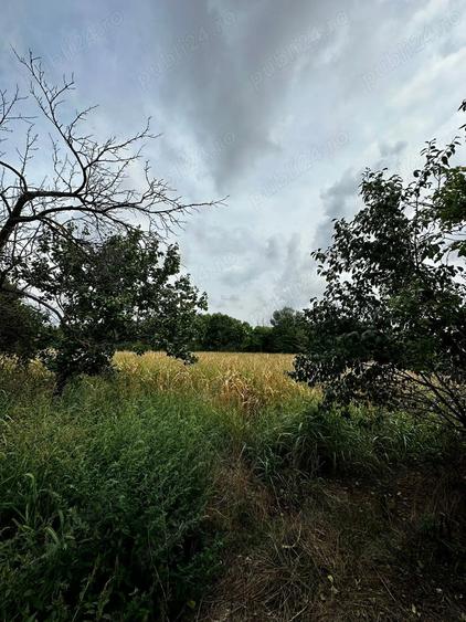 Casa de patrimoniu rural, sfar?it secol XIX Otelec - 1