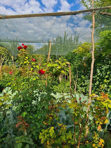 Vand Casa In Sendreni! - 2