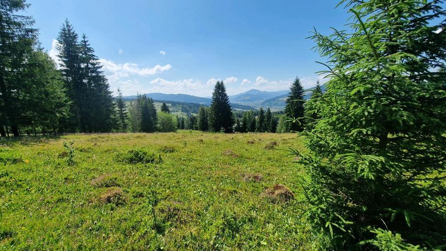 Teren intravilan in Bucovina, Dorna Arini - 9