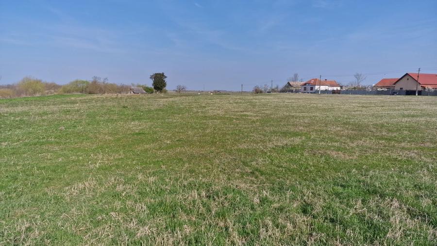 8433 mp Teren intravilan pentru constructii - 1