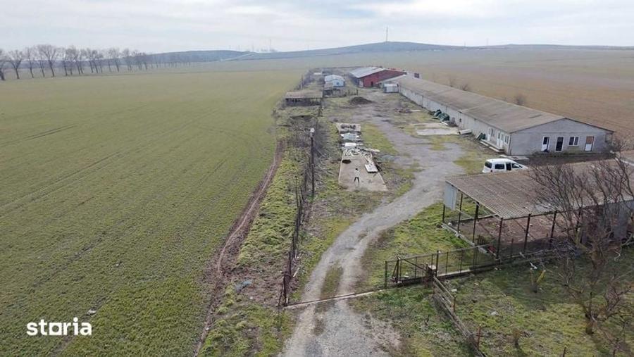 VAND sau INCHIRIEZ FERMA in Salcioara, judet Tulcea - 7