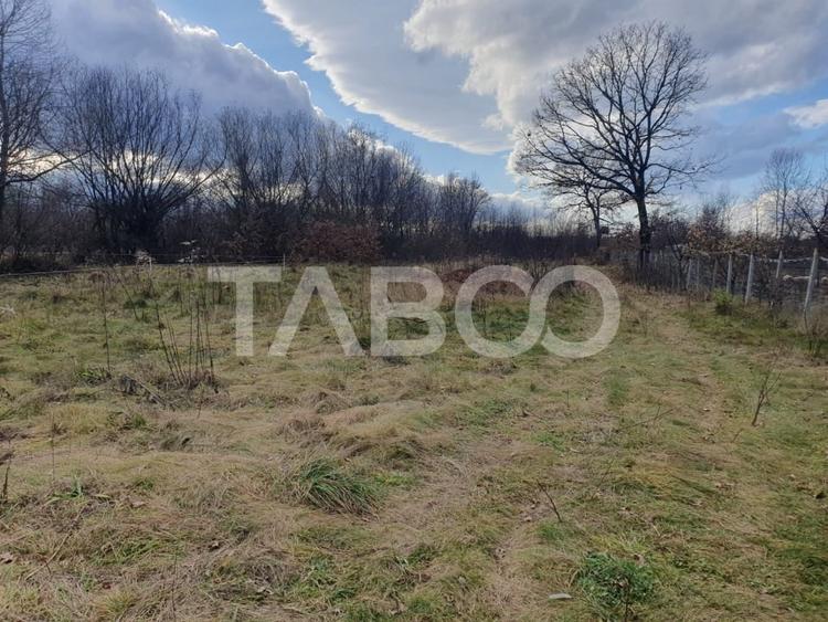 Comision 0 % Teren intravilan 2 cai de acces 3100 mp Savastreni - 2