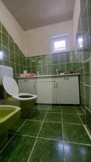 Casa cu Sauna Finlandeza + Atelier Auto in Sfantu Gheorghe - 14