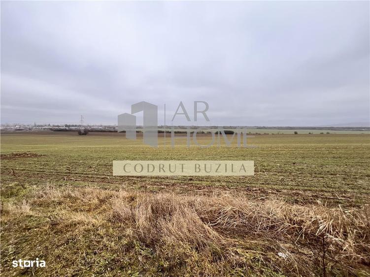 Teren intravilan 4792 mp, Bucov - 2