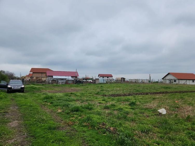 Casa + teren Rogova 7000mp - 5