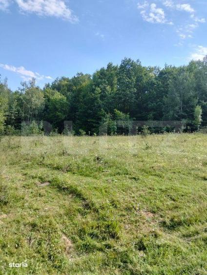 Teren generos de 70290 mp, 5045 mp intravilan, Poiana Ampoiului, Metes - 8