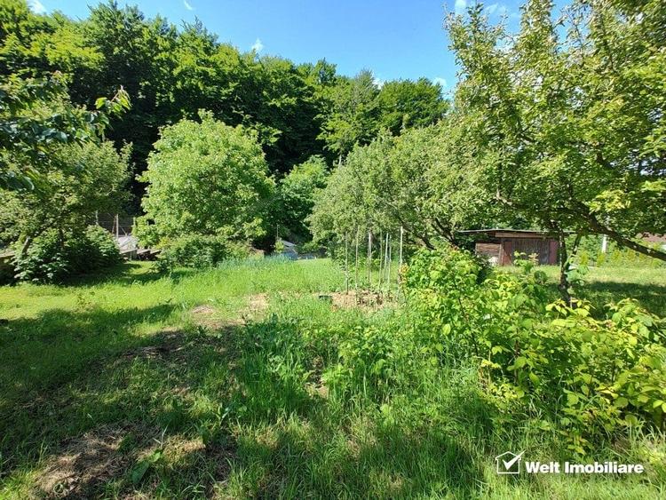 Oaza ta de liniste si verdeata, teren Faget cu parau in curte - 1