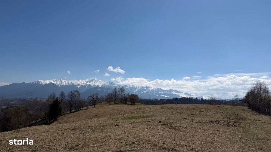 Teren 4584 mp de vanzare Pestera, Moeciu, Brasov - 3