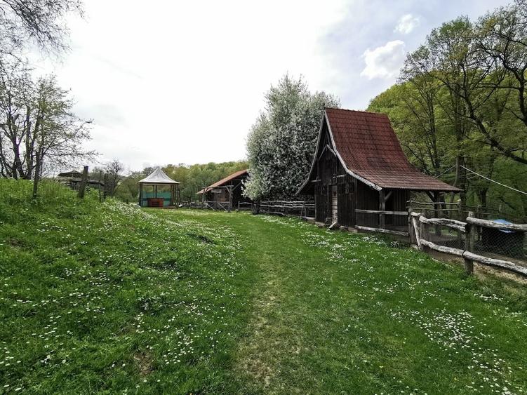 Sighisoara Oportunitate, Restaurant cu MiniPensiune 800mp, 1,8ha teren, Via Transilvanica - 2