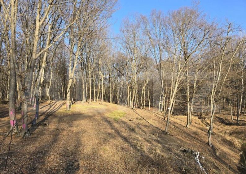 Teren cu sufrafata de 1100 mp in Padurea Faget - 4