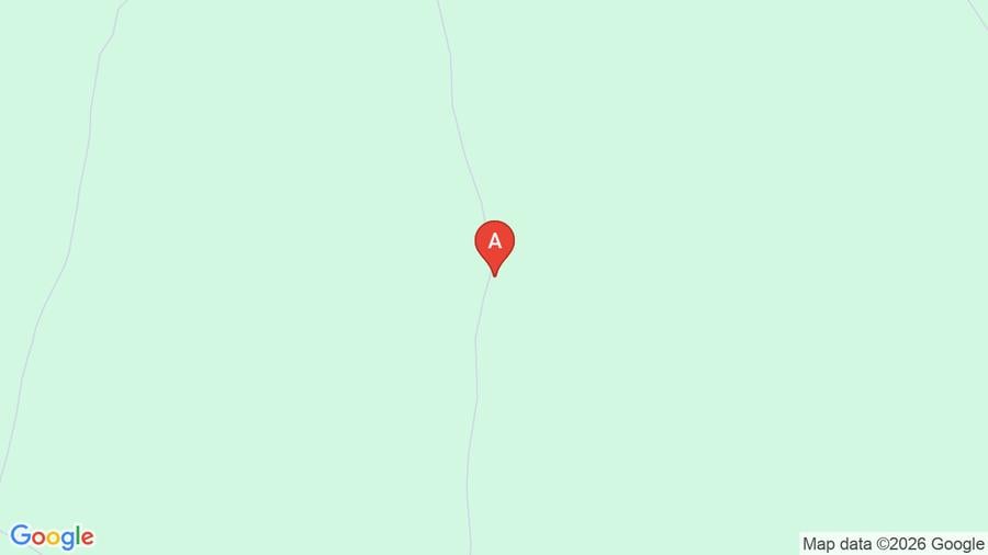 Teren împădurit - 1