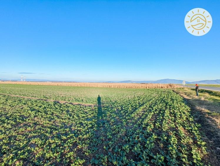 Teren intravilan 22800mp la 2km de Parcul Industrial Prejmer - 4