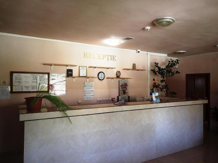 Pensiune functionala arhitectura deosebita Buzias - 8