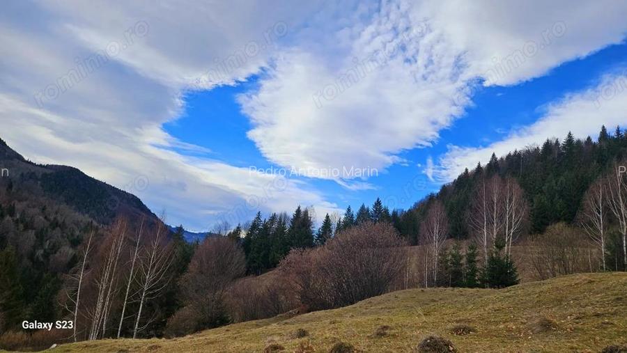 Teren extravilan 4 mp Valea Cheii Dambovicioara