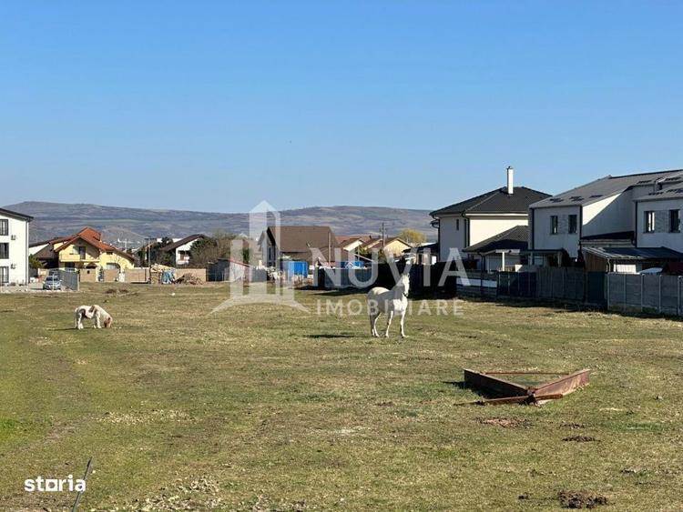 Teren intravilan 7500mp ZONA LIDL Cetate, ideal UTR L3A - 1