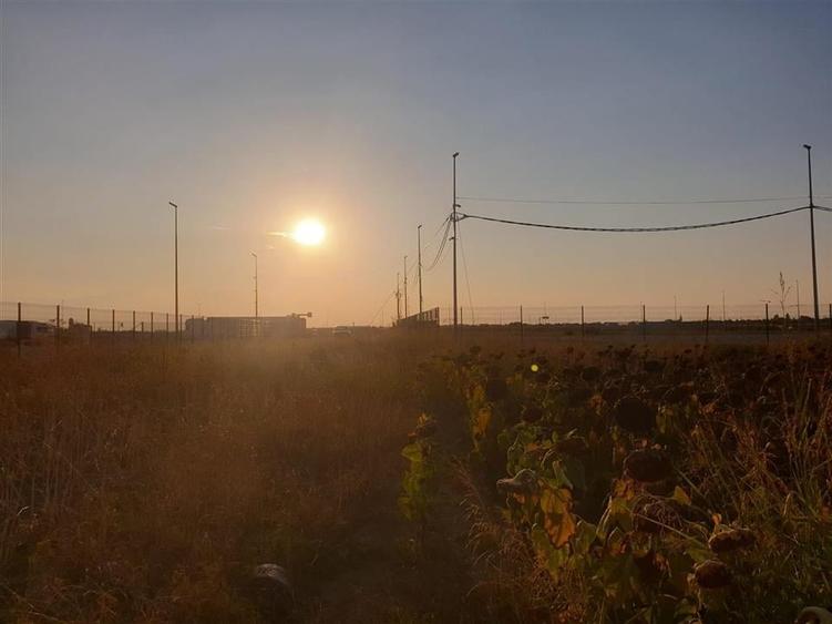 Teren intravilan zona Borsului - 4