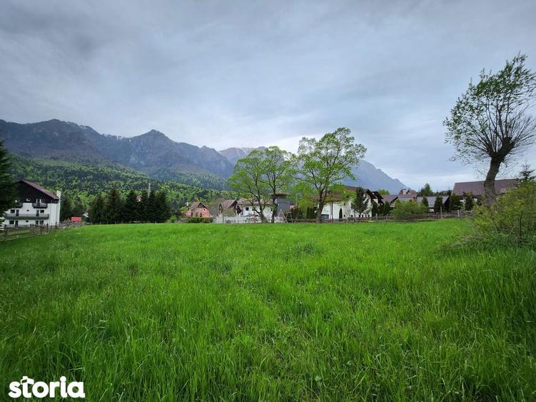 Teren situat in Busteni-Poiana Tapului in suprafata 2.675 mp ! - 1