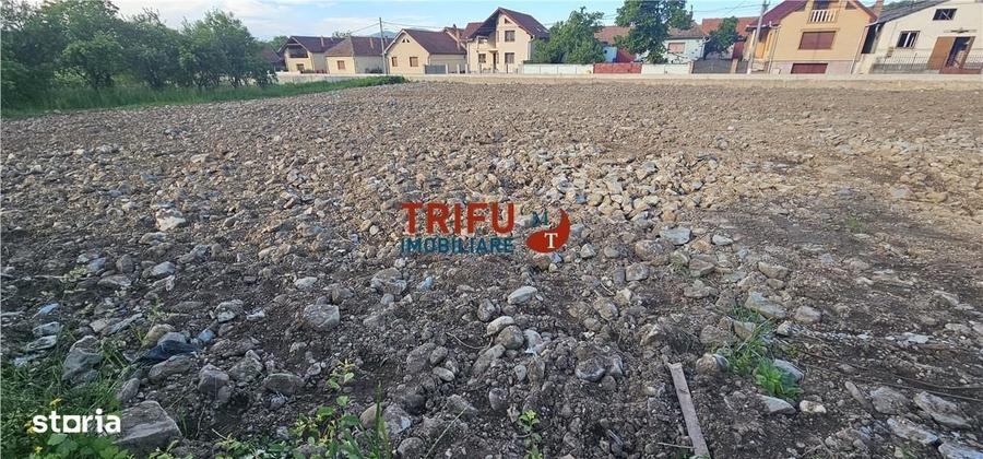 Spațiu comercial, în Ighiu