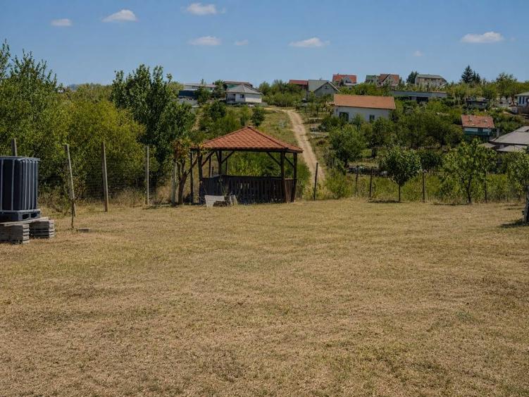 TEREN DE VANZARE LIVADA DIN PALEU, in apropiere de Dealul Viilor - 7