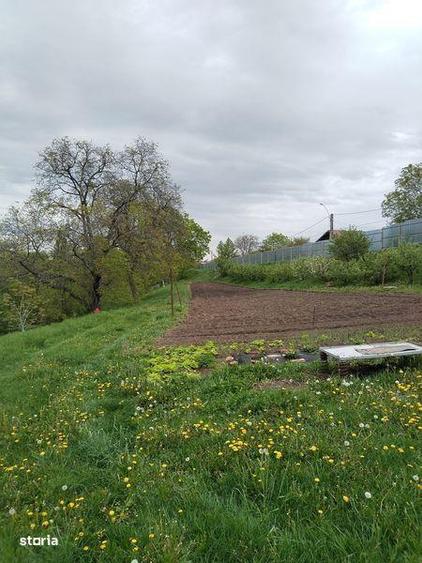 Teren de 4000 mp, în Central
