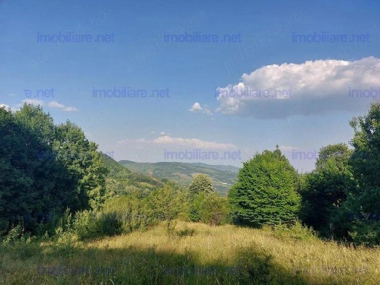 Casă cu Teren 1800 Mp în Anini