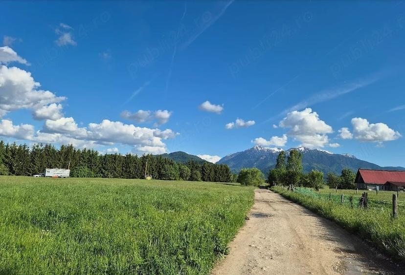Teren extravilan Rasnov Brasov Panicel Bran - 3