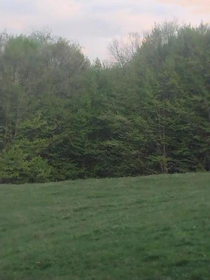 Casa de vanzare in Abrud. Tel. . - 5