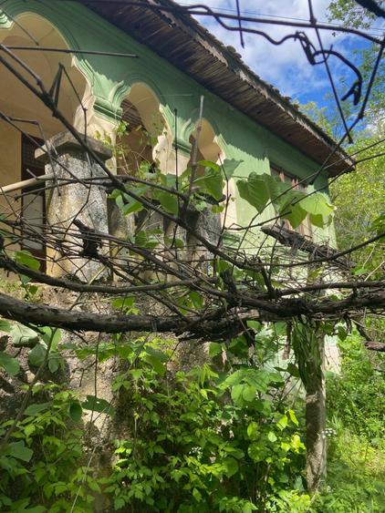 Casa la tara langa Craiova, Dolj - 3