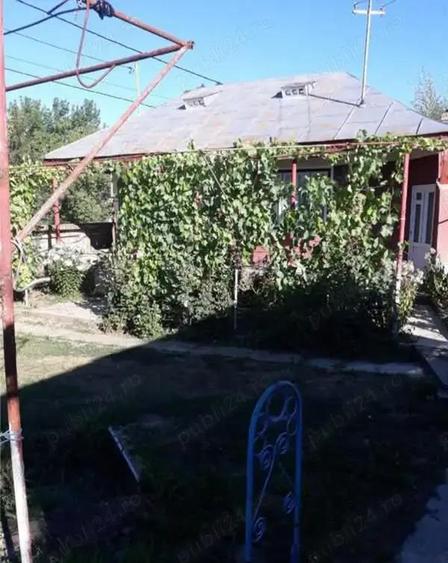 A 13. 20000 mp teren ?i 3 constructii casa in judetul Bacau - 3