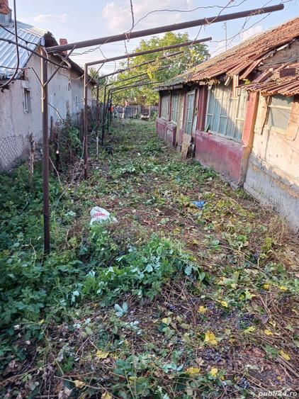 vand casa ?i teren - 5