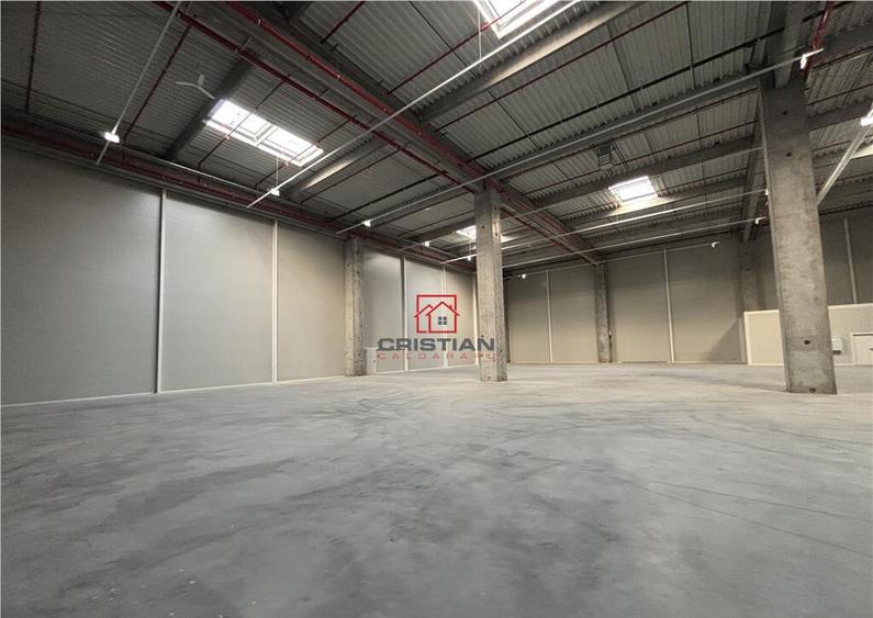 Depozit/hala/spatiu industrial Theodor Pallady - A2 - 8