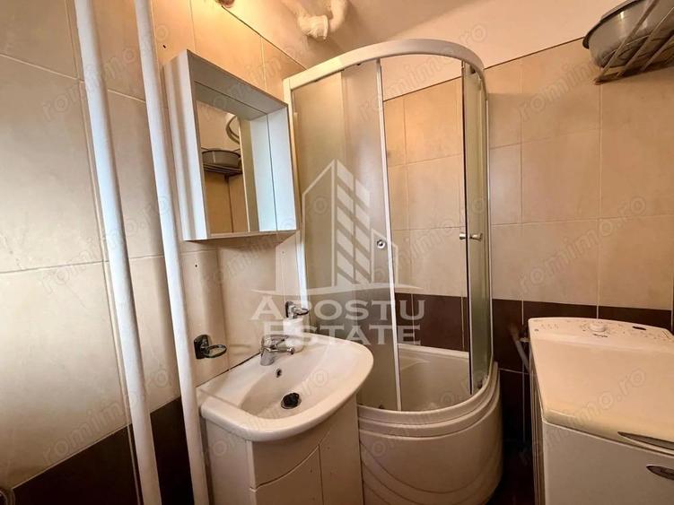 Apartament cu 2 camere, aer conditionat, Timisoara, zona centrala - 7