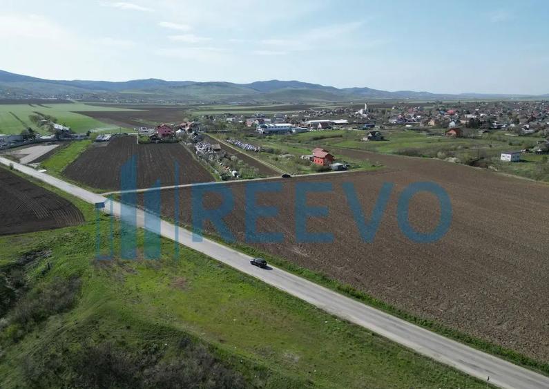 Teren de vanzare, Com. Nicolae Balcescu, Jud. Bacau - 7