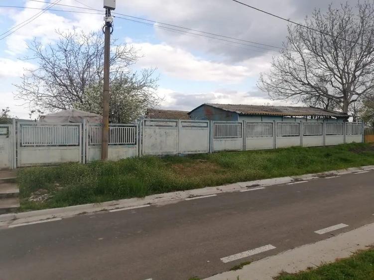 Casa de vanzare balabancea,tulcea - 6