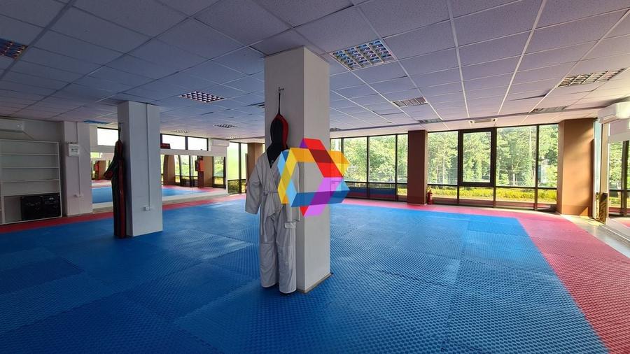 Cladire mixta - cu chiriasi- 1053 mp #plus-imo.ro - 1