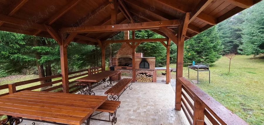 Casa de vacanta 3 niveluri P+E+M Colibita - 10